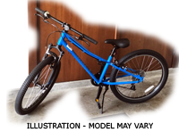 Big Kids Bike